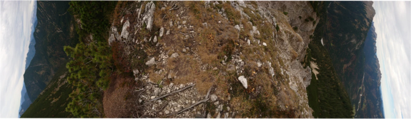 Banner image of Karam