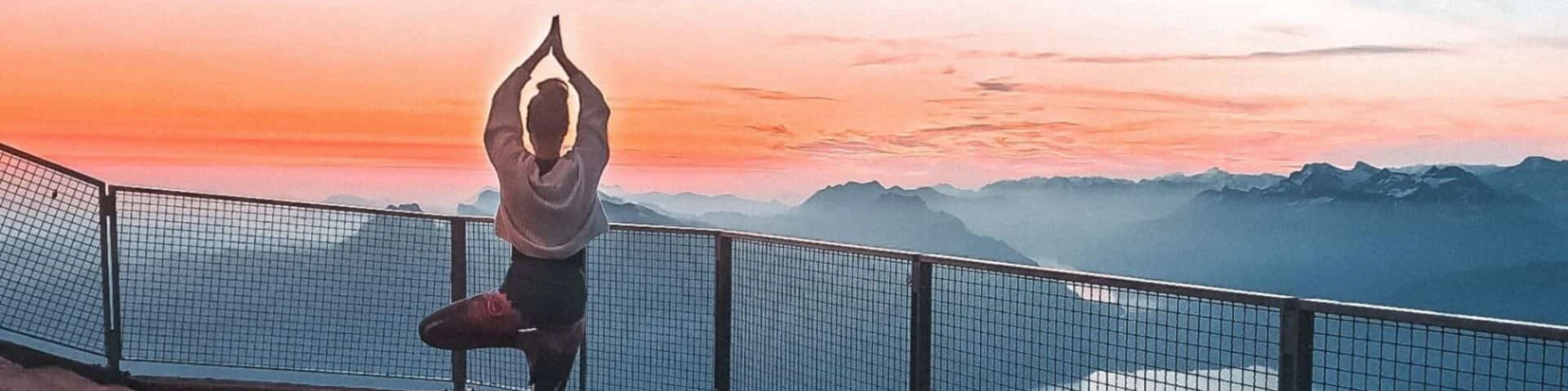 Bannerbild von WILD MOON PIECES