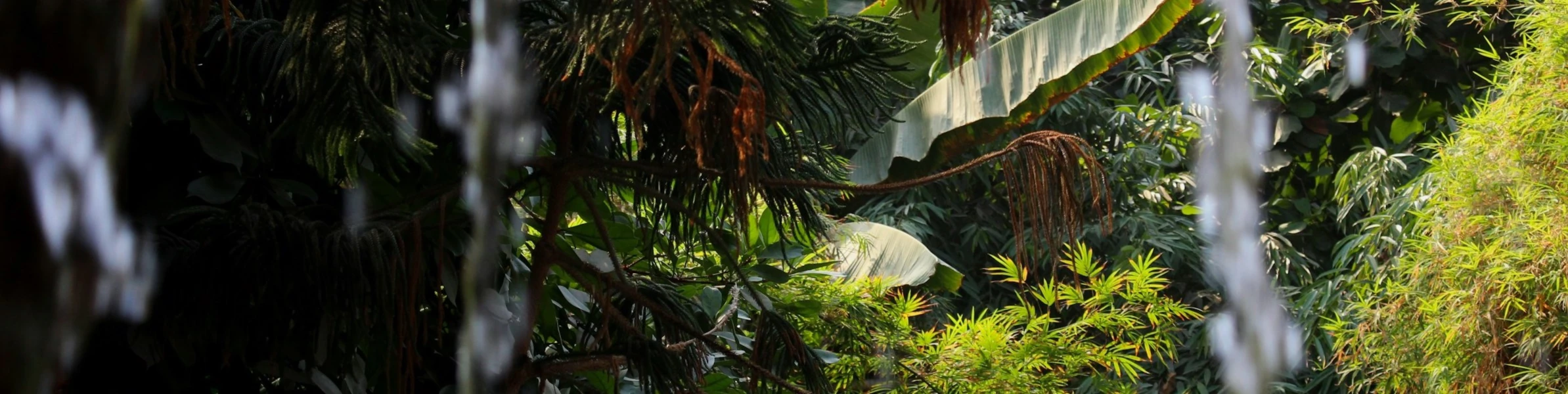 Banner image of Aztec Gold