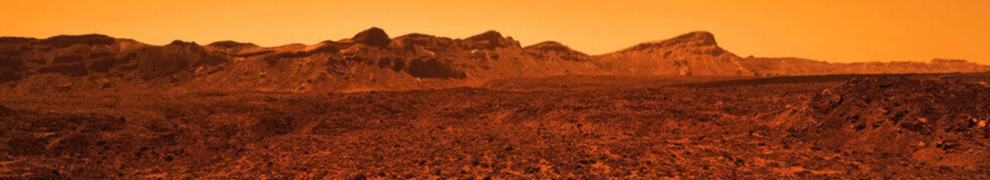 Banner image of peace22