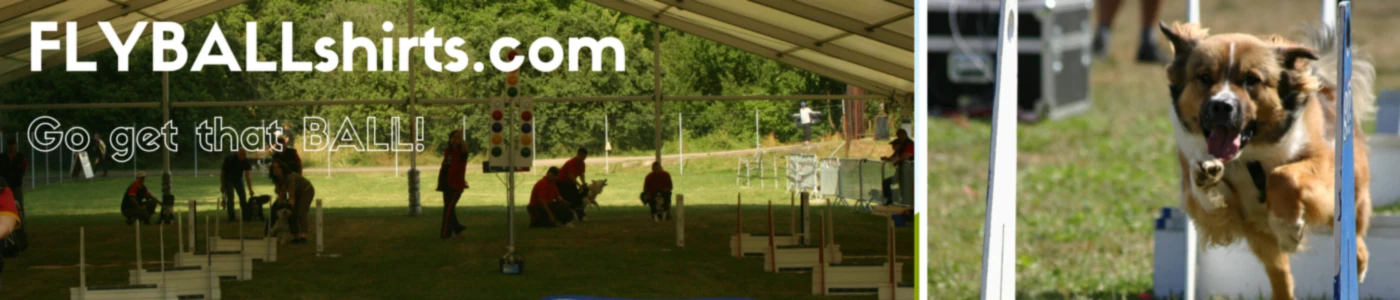 Banner image of flyballshirts