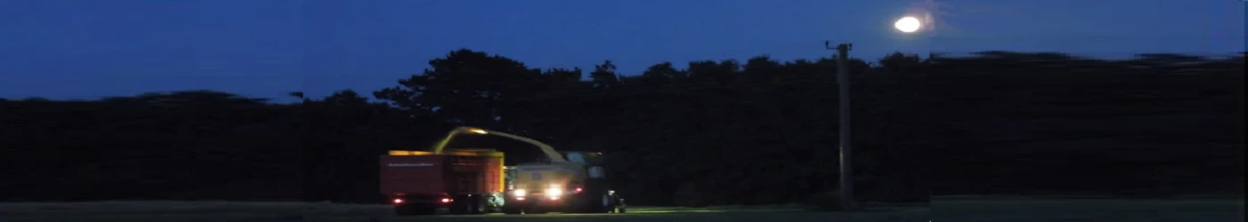 Banner image of 113684302