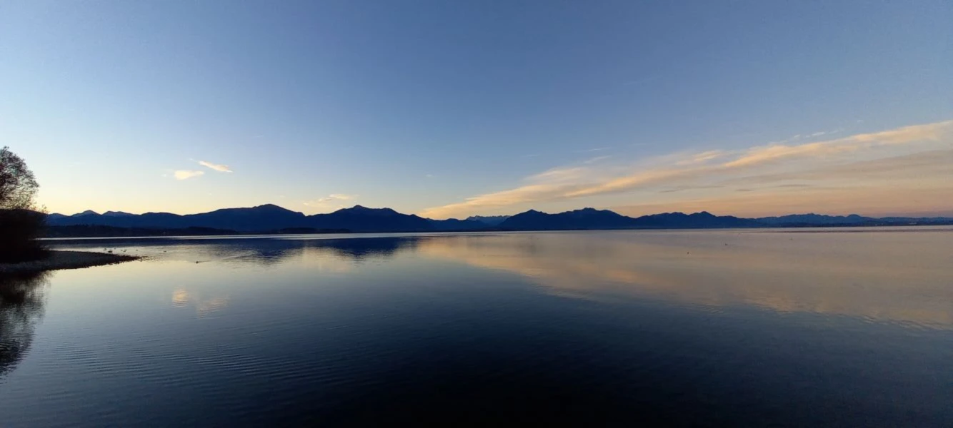 Banner image of funkydee