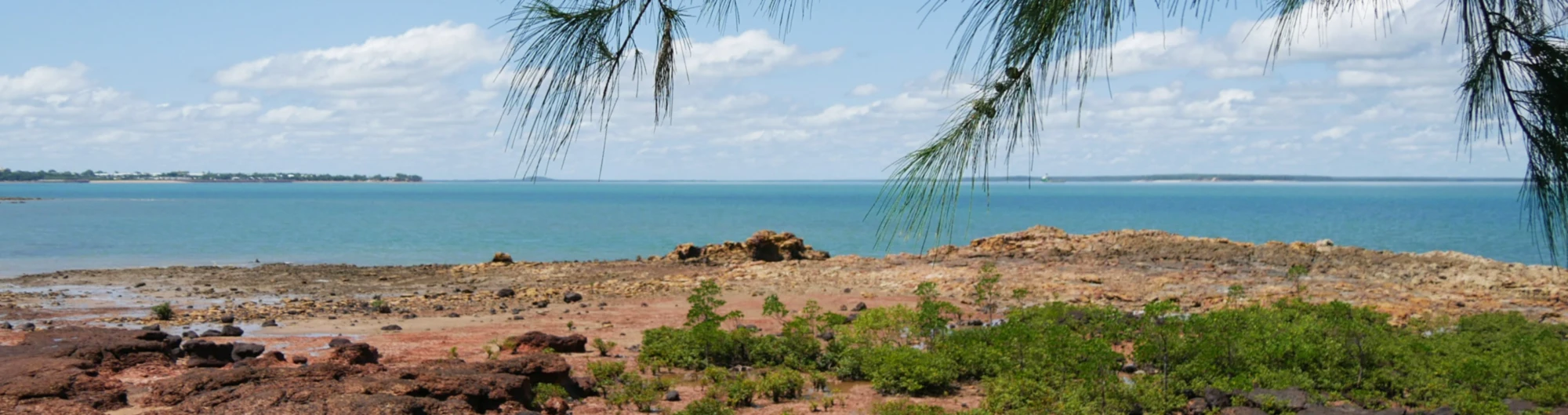 Banner image of marper