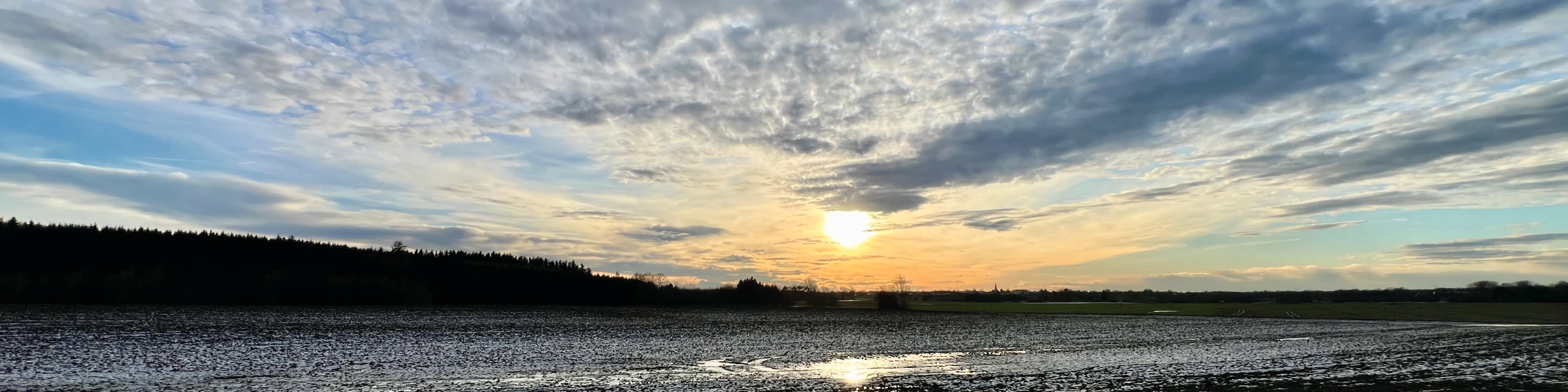 Bannerbild von bristom