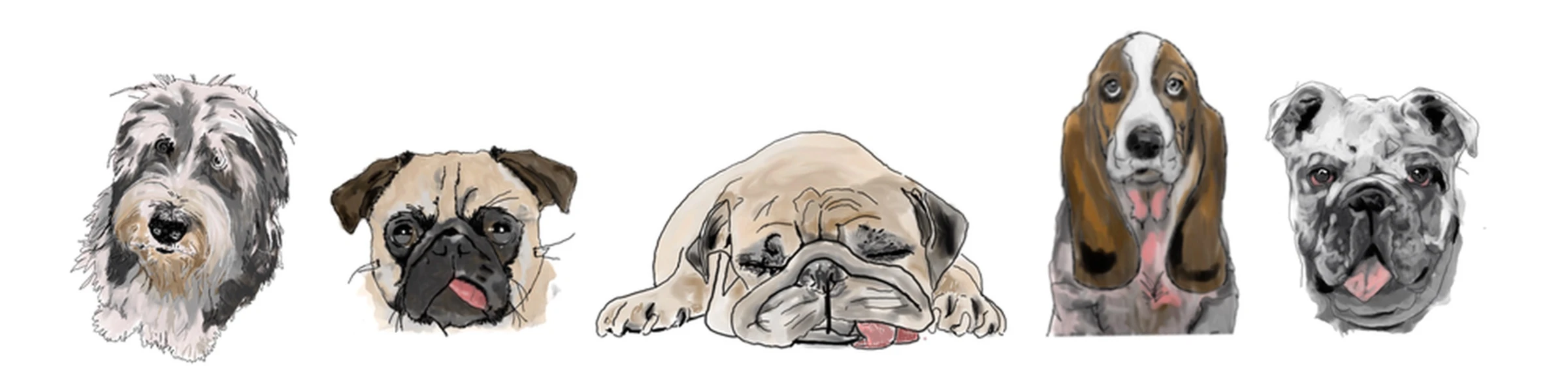 Bannerbild von woofart