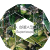 113815137