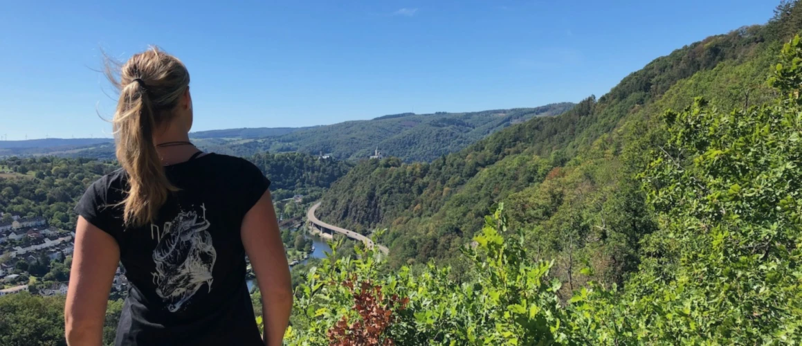 Banner image of 113822894