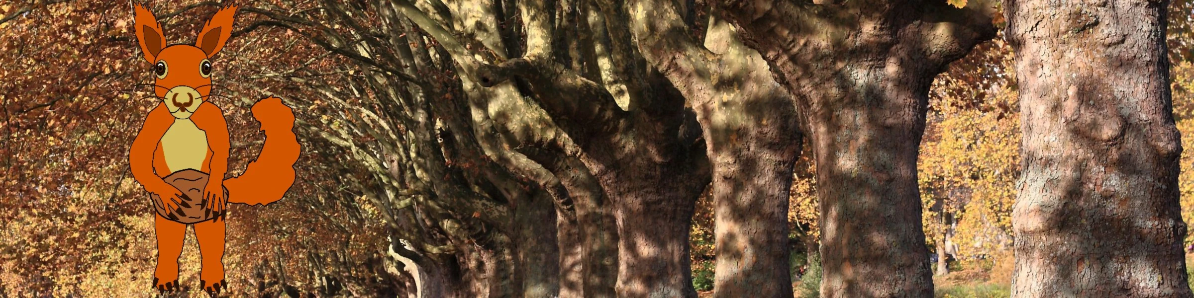 Banner image of Squirrel No. 9