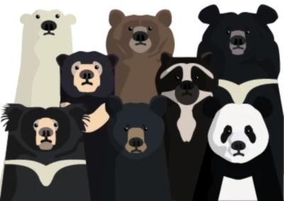 Banner image of Zolin Studio