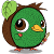 Peekiwi