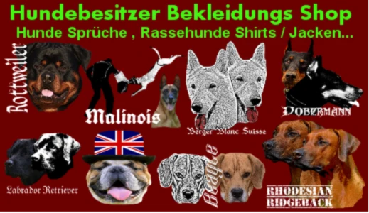 Bannière de Hundemotive