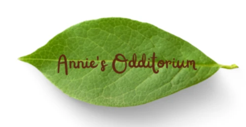 Banner image of AnniesOdditorium