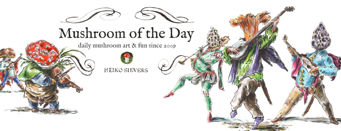 Banner image of Mushroom-of-the-Day