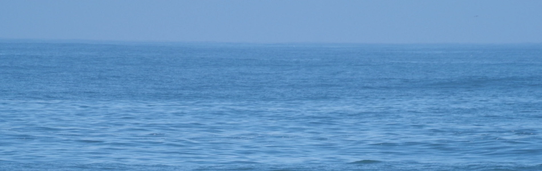 Bannerbild von uferlosblog