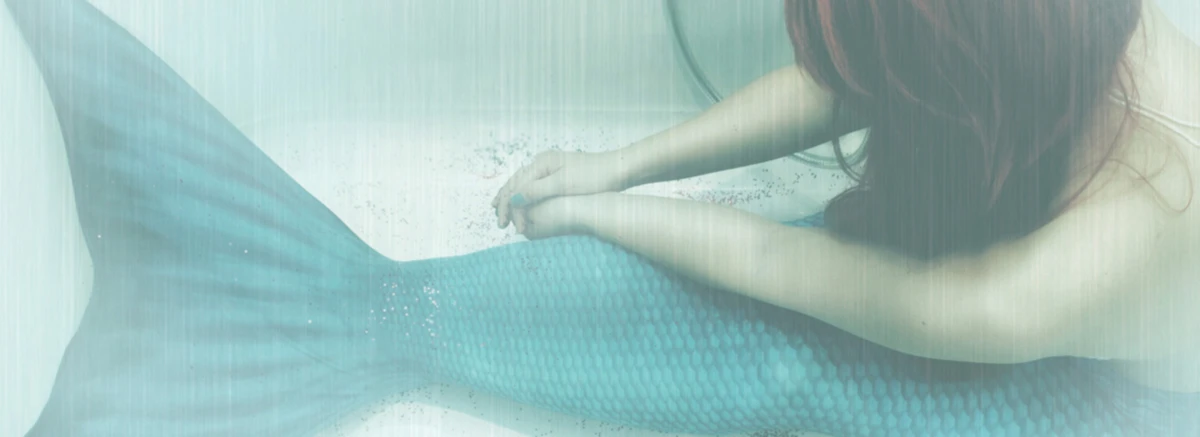 Banner image of If you see her say Hello