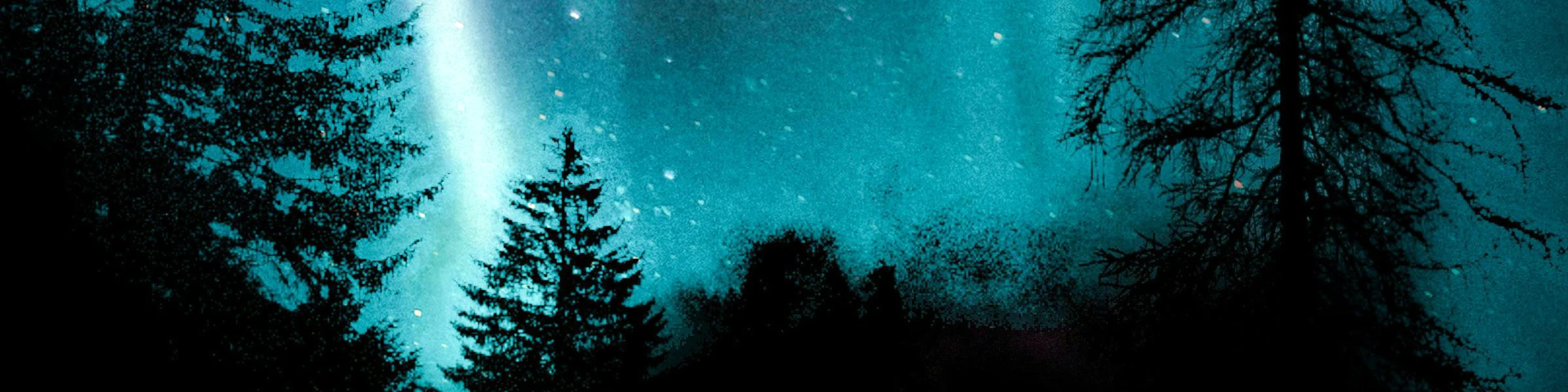 Banner image of kittvay