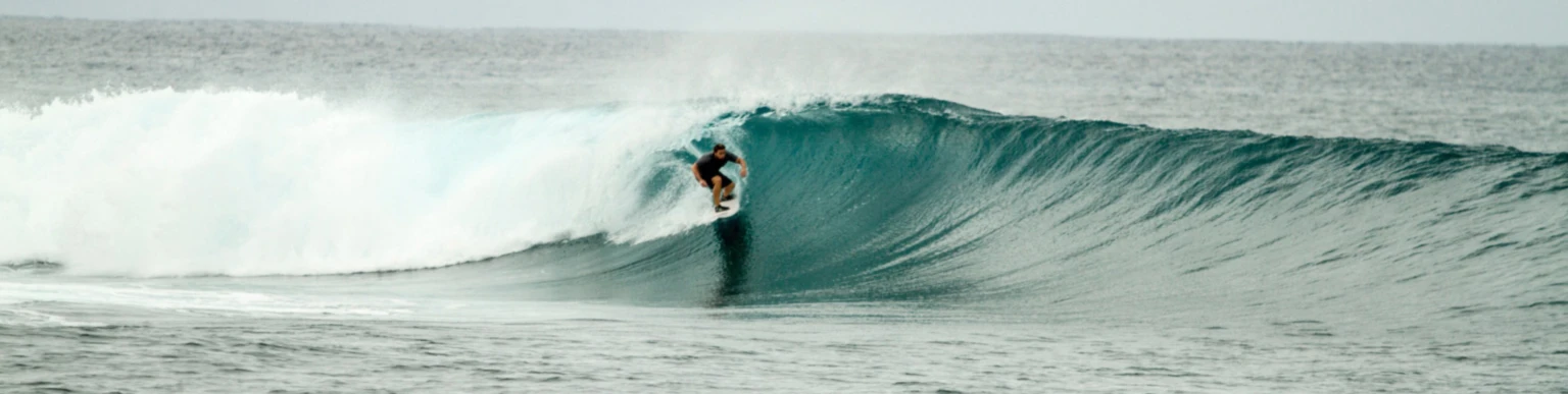 Banner image of StokedSurf