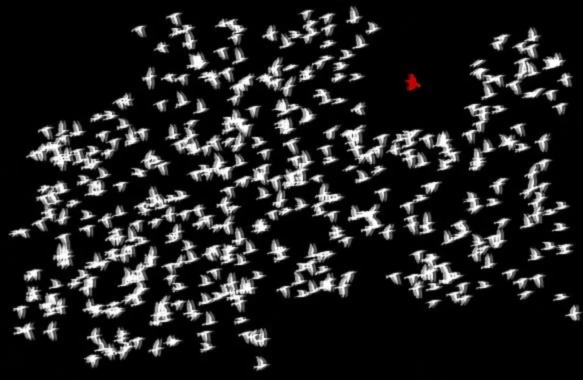 Bannerbild von kreatives chaos