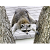 Badger-friends