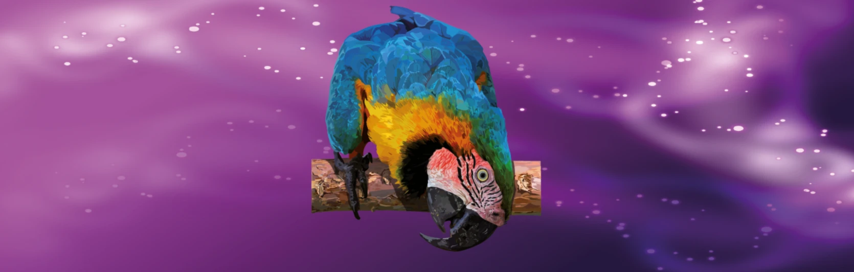 Banner image of Amazona Verde