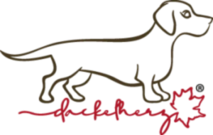Bannerbild von Dackelherz