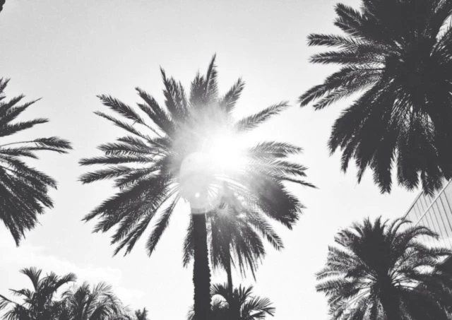 Banner image of Yoo PopArt