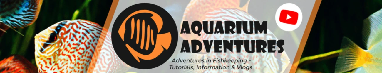 Banner image of Aquarium Adventures