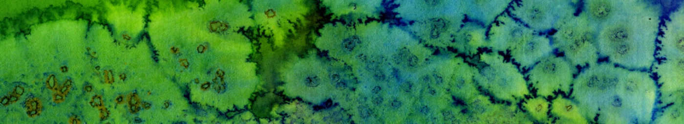 Bannière de 114290556