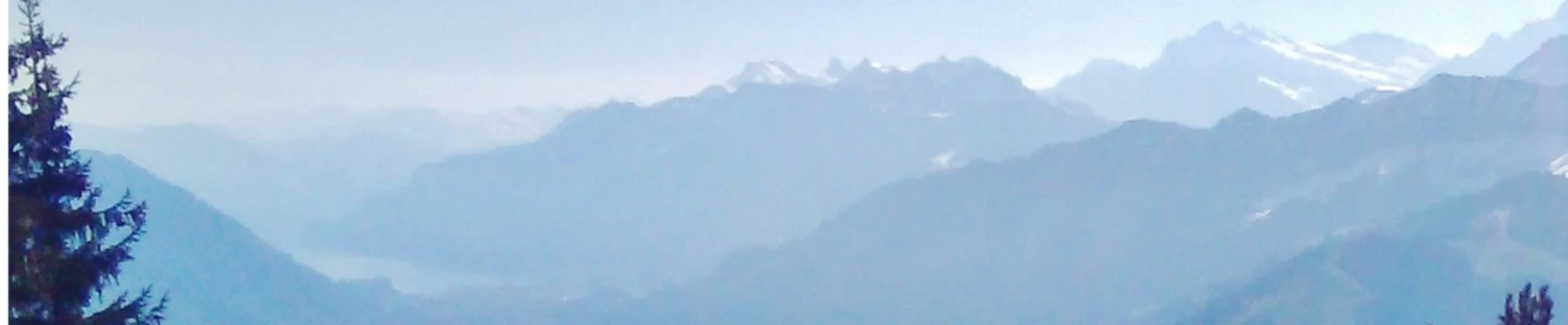 Banner image of 114298622