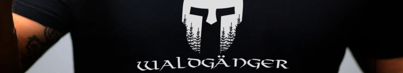 Banner image of Interstellar Design