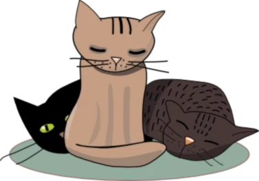 Banner image of threeCats