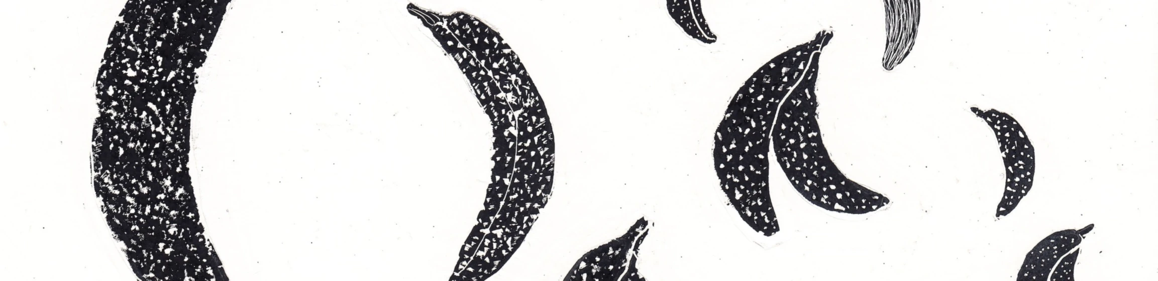 Bannerbild von bananasbananasbananas