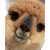 WorldWildWeb Designs