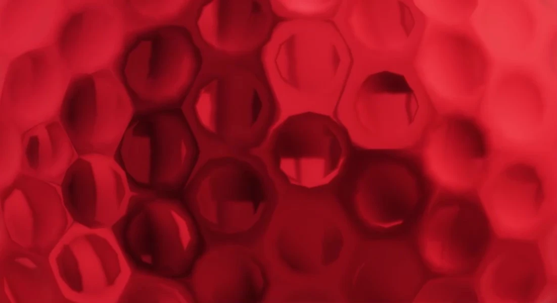 Bannière de maskolusmichael5@gemail