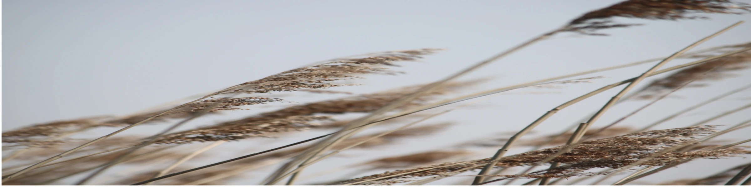 Banner image of Beauton Fashions