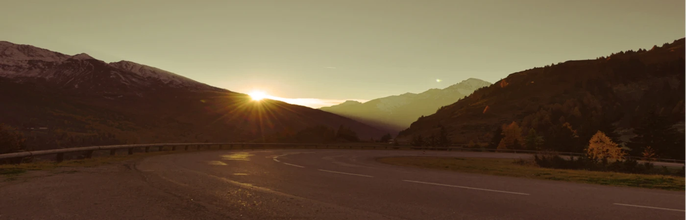 Banner image of Wild Ride