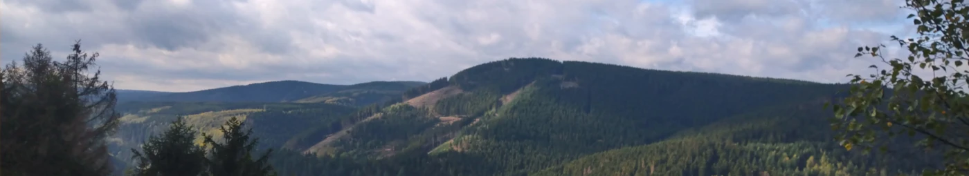 Banner image of cuttingedg