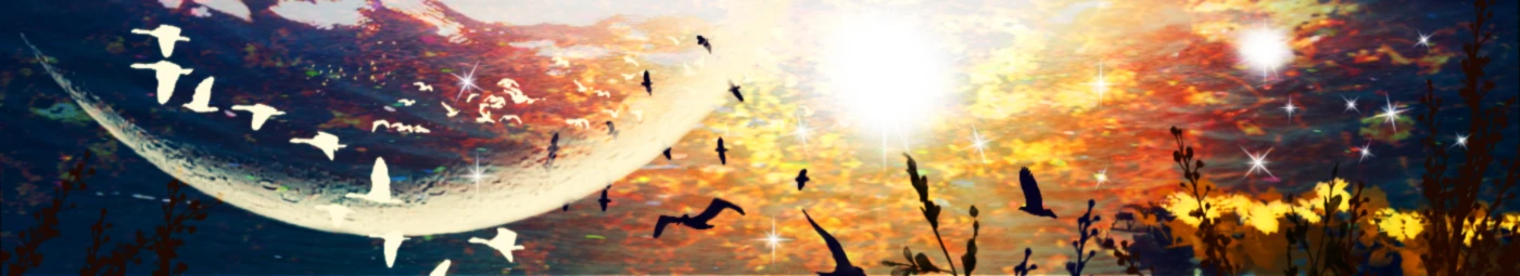 Bannerbild von Ren Ard