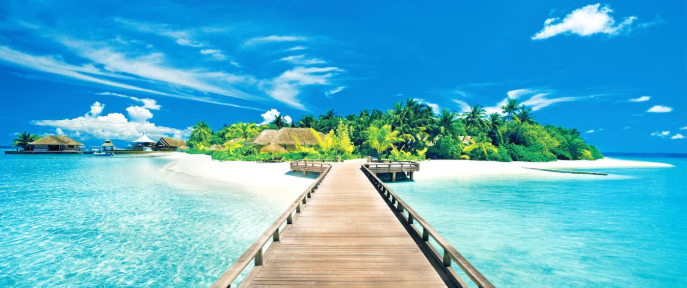 Banner image of summerdesigns