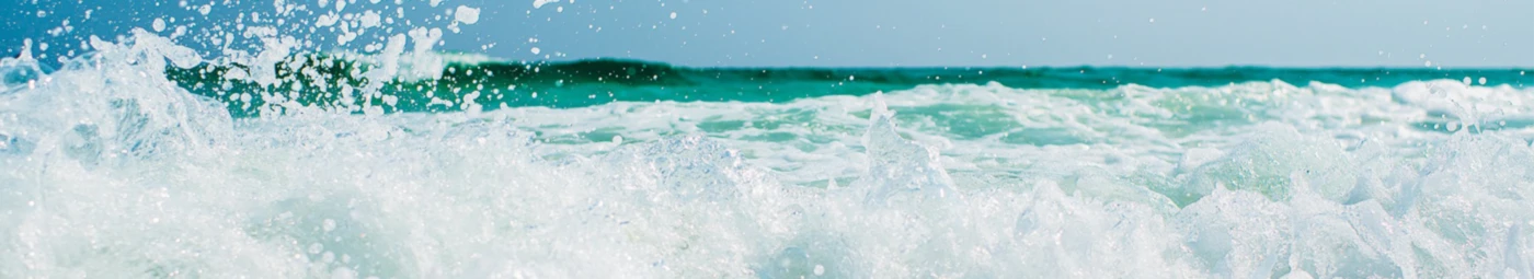 Bannerbild von Panaminded