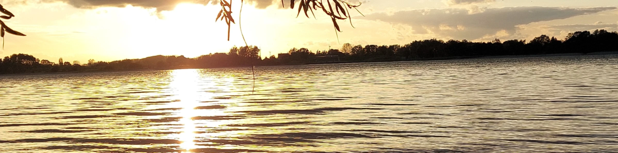 Banner image of Zeitlos