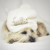 joonadaily