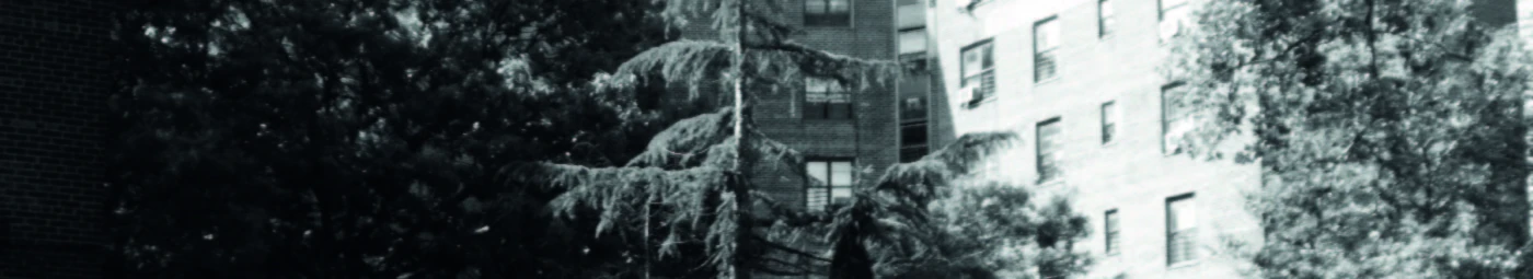 Bannière de Martijn Verzijl