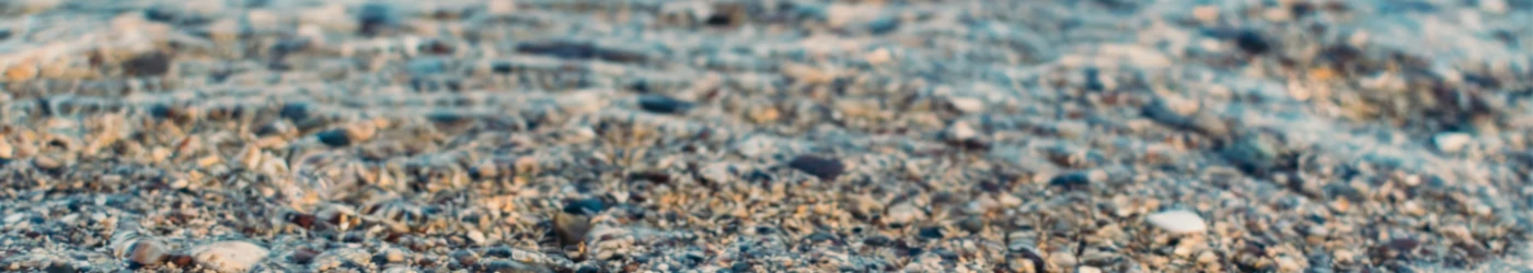 Bannerbild von BootStep Studio