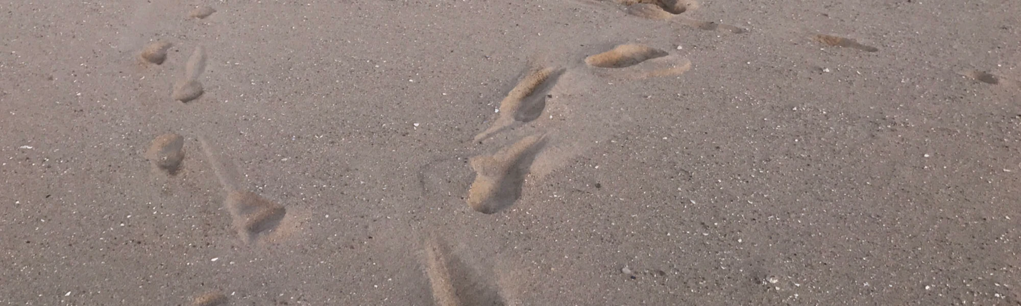 Bannerbild von ON THE OTHER SIDE