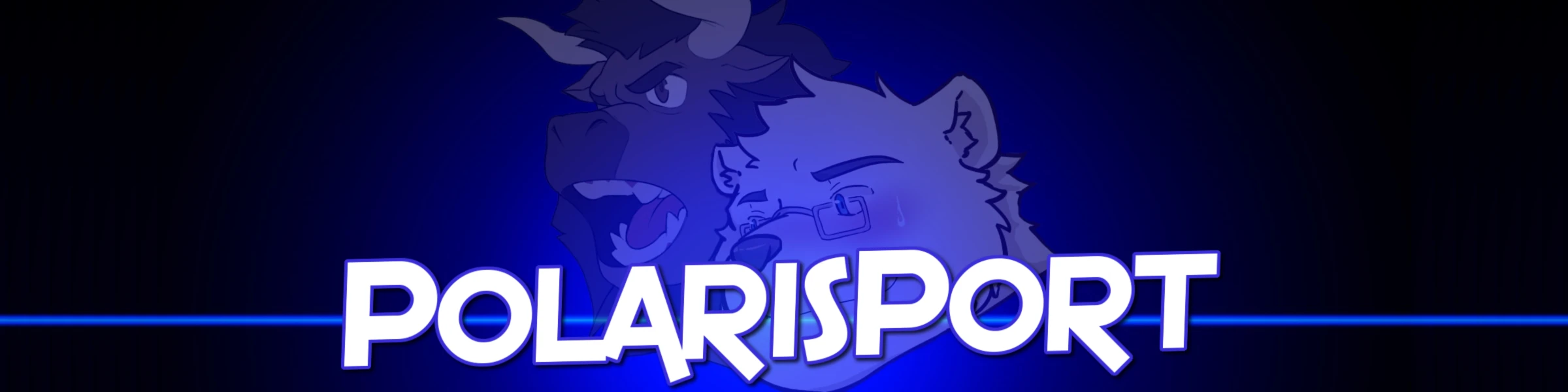 Banner image of PolarisPort