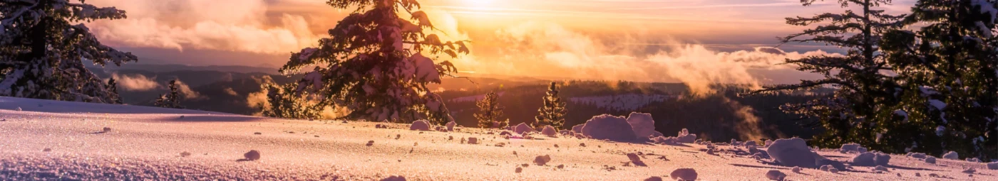 Banner image of PassionFirst