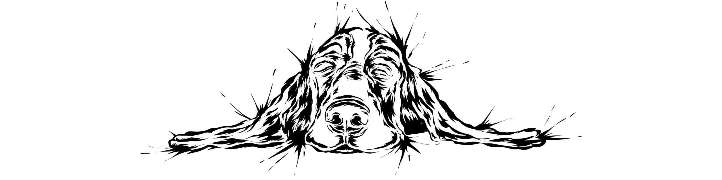 Banner image of Teeladen