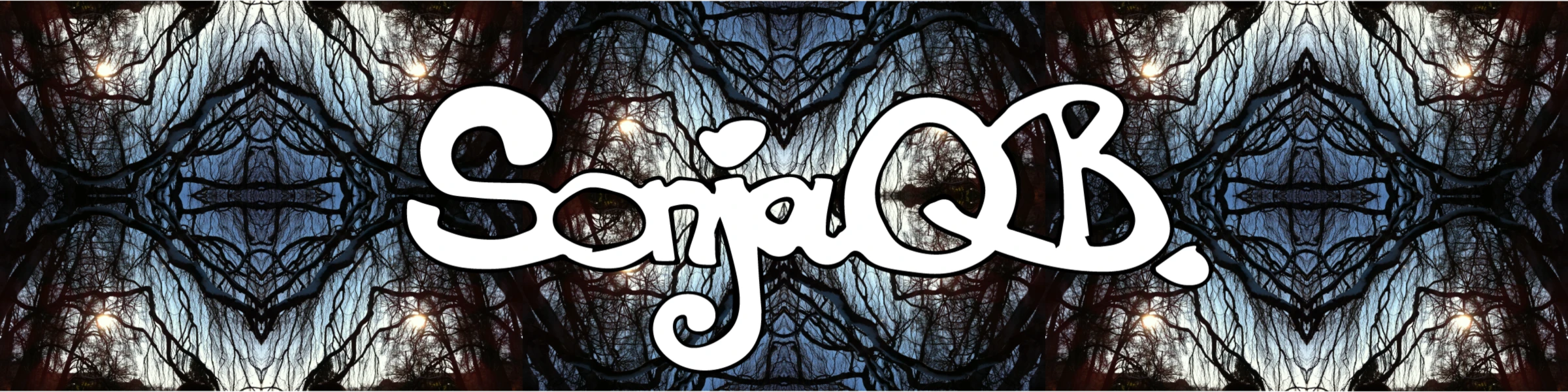 Banner image of SonjaQB